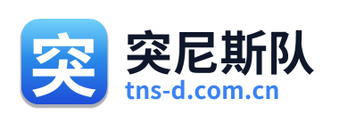 突尼斯队